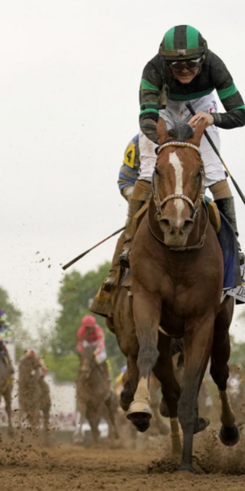 2024 Preakness Stakes Odds