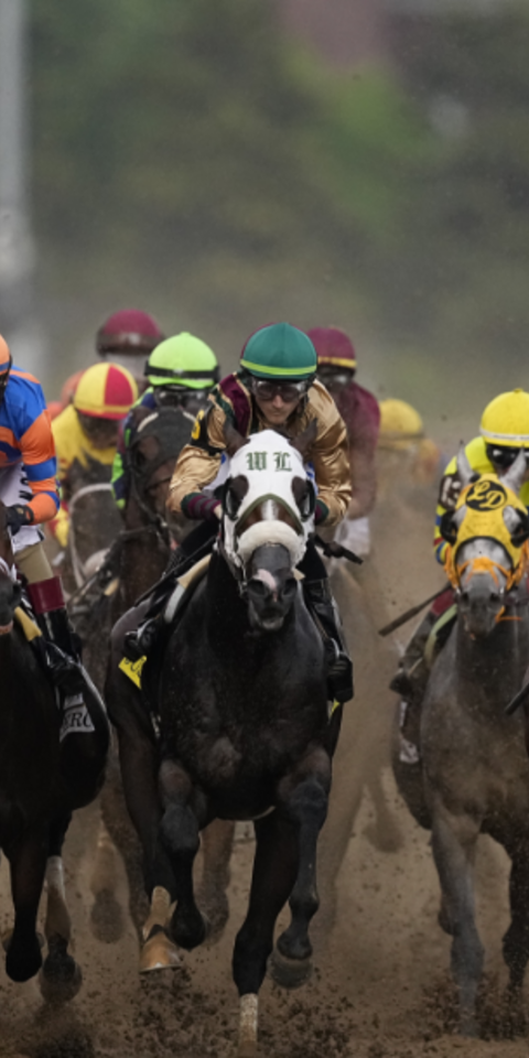 2024 Preakness Stakes Best Bets