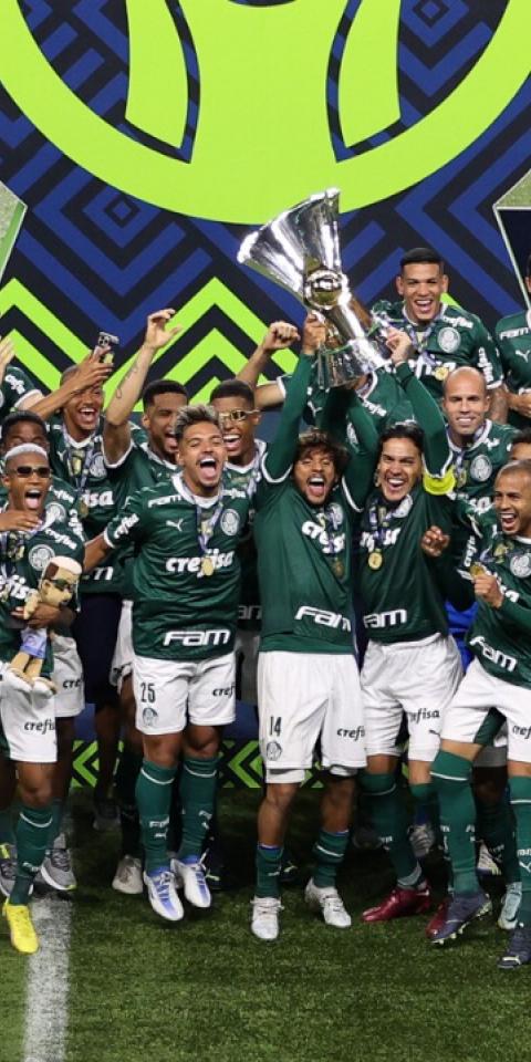 Palmeiras campeão brasileiro 2022
