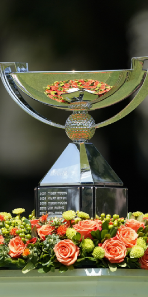 The FedEx Cup is what is on the line in the Tour Championship