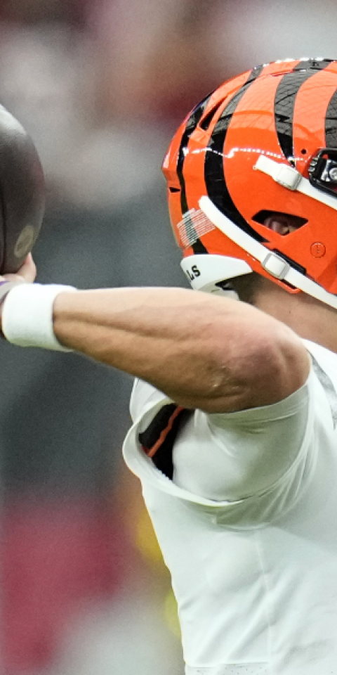 Bengals Seahawks Betting Preview