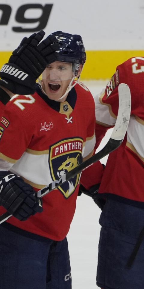 NHL Picks and Predictions Janaury 19. Florida Panthers win gain.