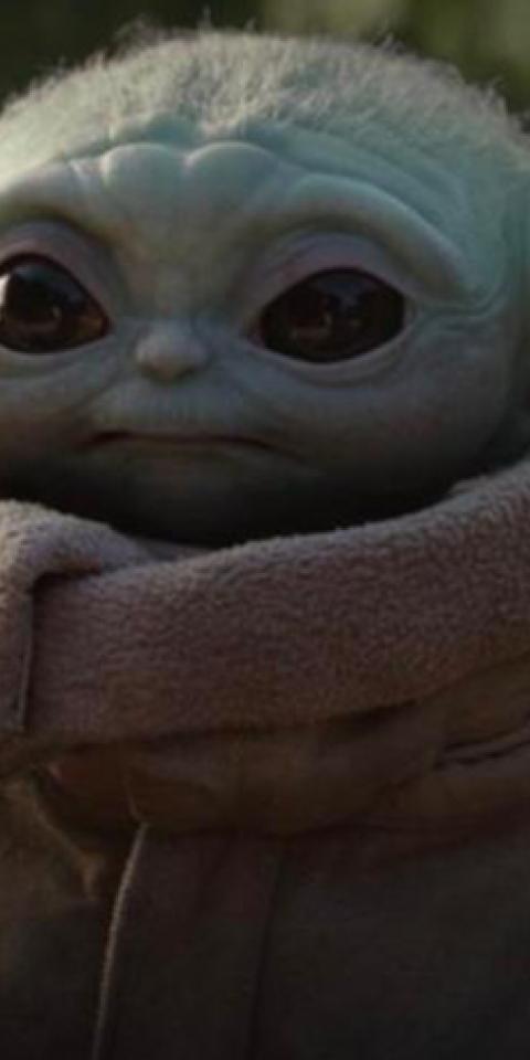 Baby Yoda has been a central figure in Star Wars: the Mandalorian. Find out the latest betting props for Star Wars: the Mandalorian.