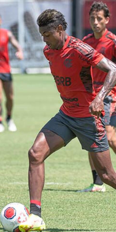 Flamengo x Portuguesa-RJ: Prognóstico De Apostas No Carioca