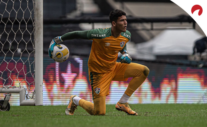 Goleiro do Fluminense em jogo pelo time.