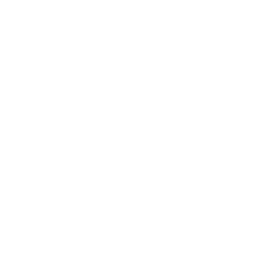 championship trophy shaped as a football