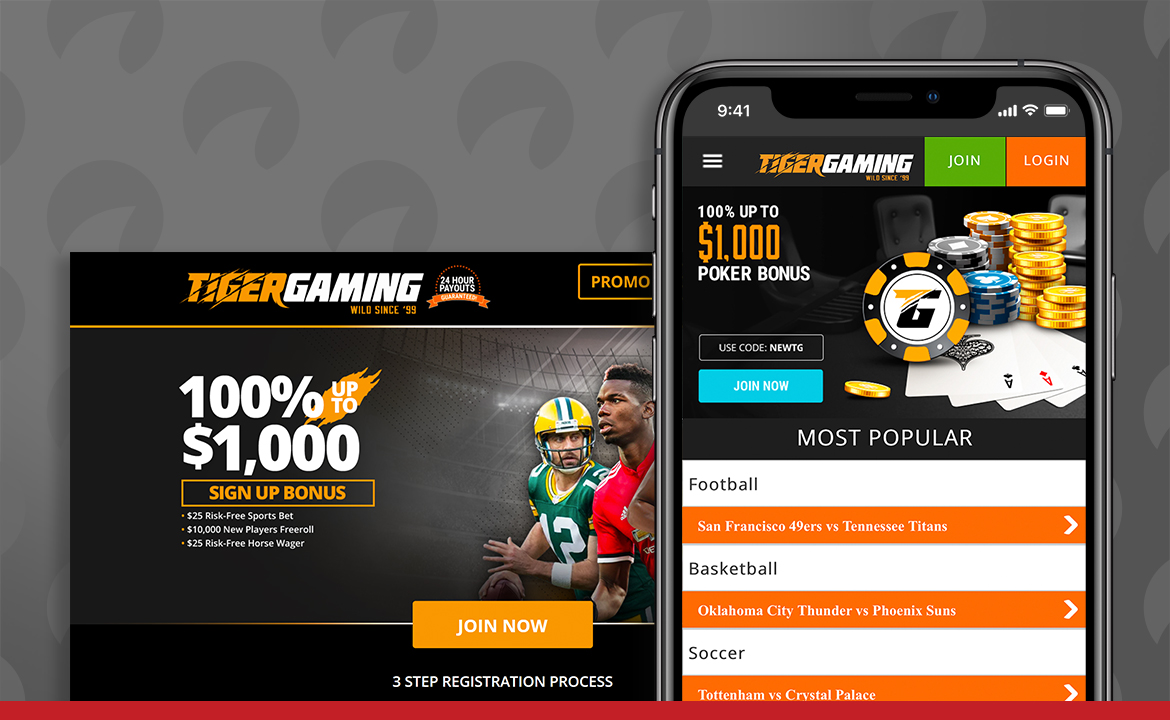Análise da Tiger Gaming: Banner da casa de apostas Tiger Gaming no celular e desktop