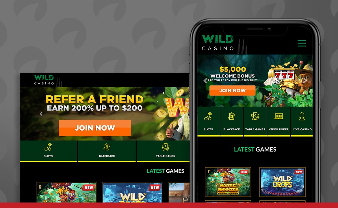 Wild Casino Screenshot