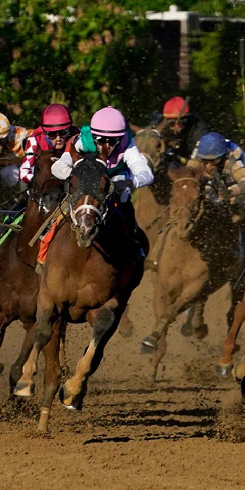 Kentucky Derby Odds