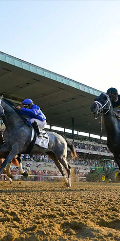 Learn how to bet on the Belmont Stakes 2022. Get the best advice, strategy and more.