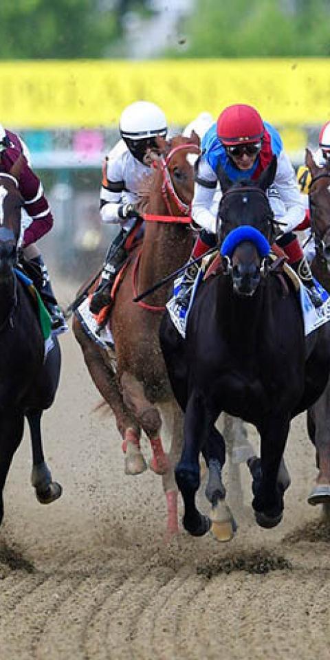 At Odds Shark our in-depth how to bet on Preakness Stakes betting guide will have you winning big this triple crown season.