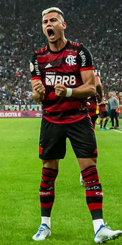 Andreas, do Flamengo, comemora gol em partida da Série A do Brasileirão