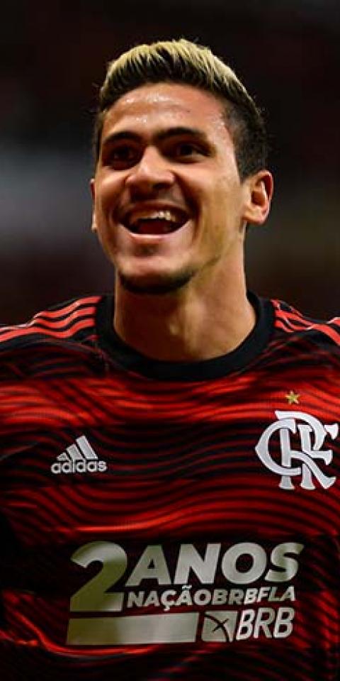 Pedro, Flamengo, comemora gol marcado pela Série A do Brasileirão