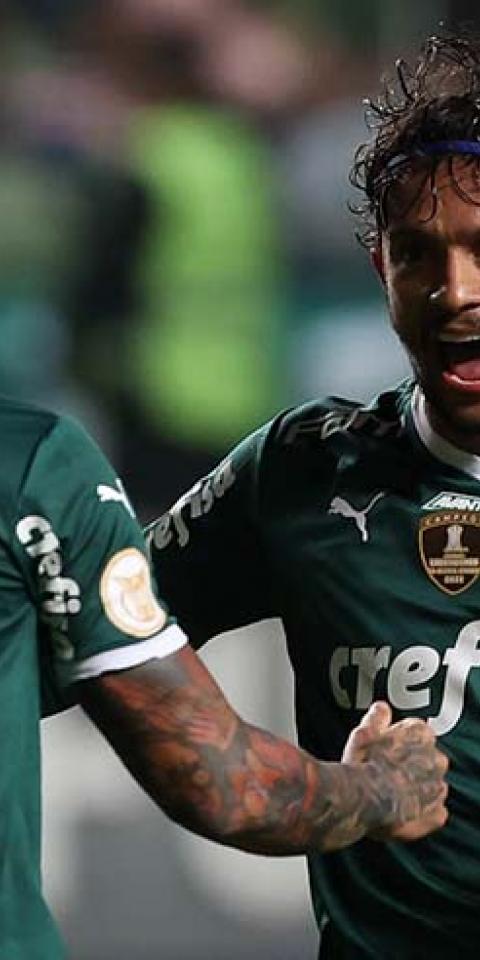 Jogadores do Palmeiras comemoram gol marcado na Série A do Brasileirão