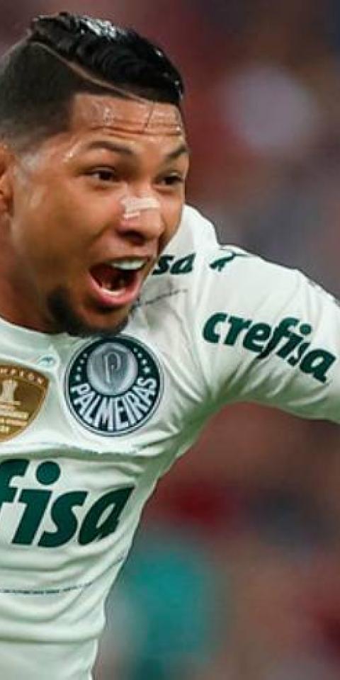Rony comemora golaço feito diante do Fluminense no Brasileirão