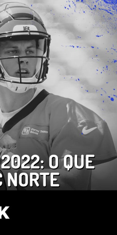 Prévias NFL 2022: Paulo Antunes projeta a AFC Norte com Steelers, Ravens, Browns e Bengals