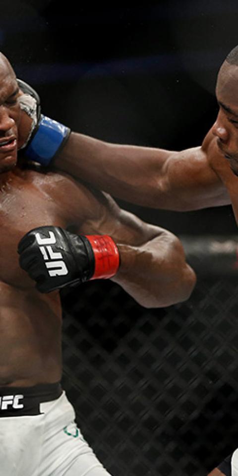 Descubre las mejores apuestas del UFC 278: Usman Vs Edwards 2 y conoce las cuotas y los pronósticos.