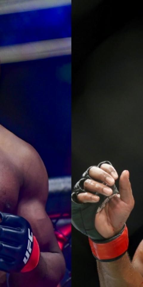 Jon Jones (right) vs Francis Ngannou (left) is the top UFC fight that never happened
