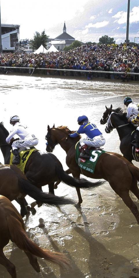 Looking to bet on the Kentucky Derby? We've got the ultimate guide of how to bet on Kentucky Derby horses.