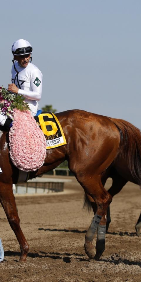 Justify the last horse to win Triple Crown in 2018 featured in our 2023 Triple Crown betting