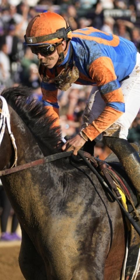 Forte is the favorite in the Kentucky Derby Odds
