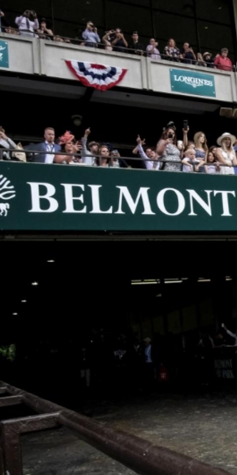 Belmont Park is where the Belmont Stakes will take place.