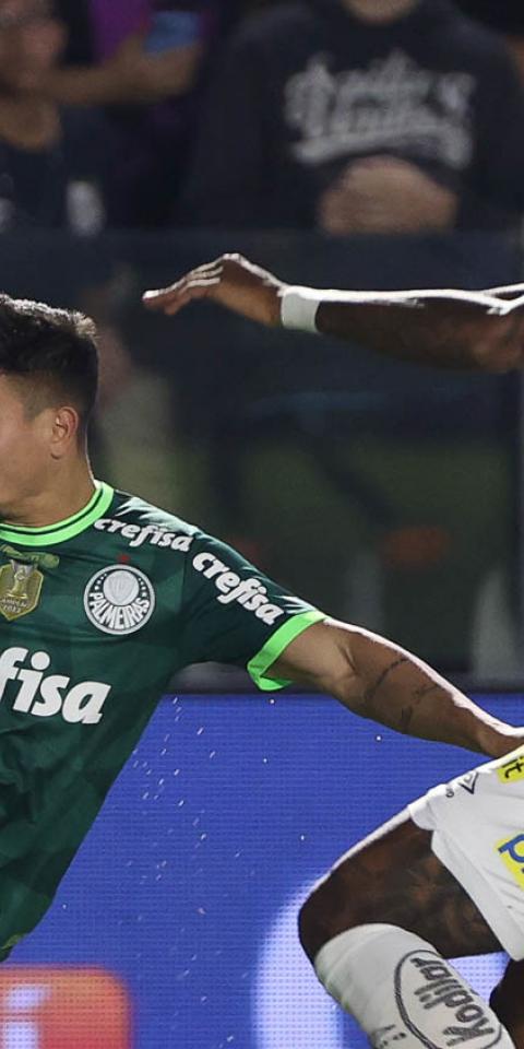 Palmeiras x Santos em campo pelo Brasileirão 2023