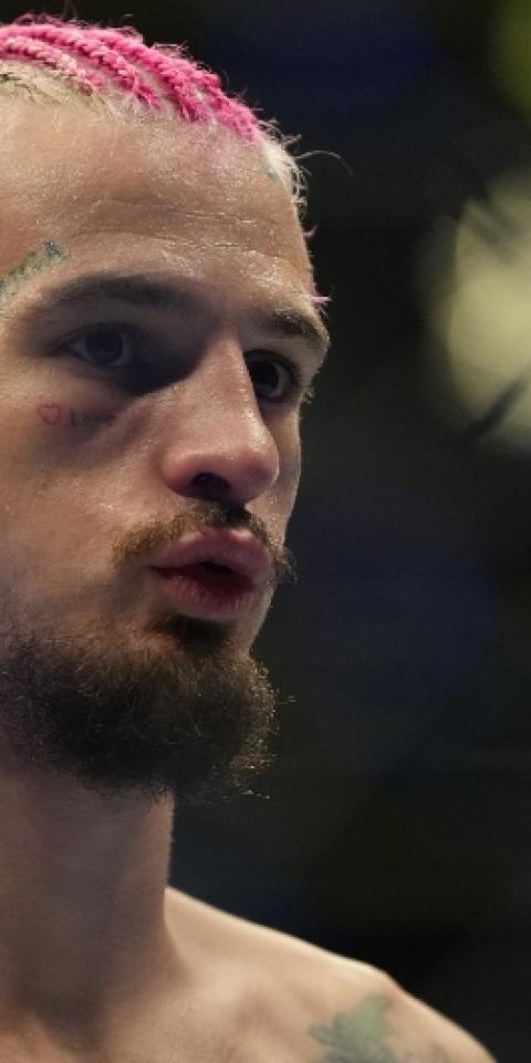Sean O'Malley is an underdog vs Aljamain Sterling at UFC 292