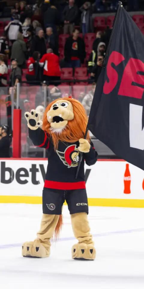 Ducks vs Senators Preview - December 11