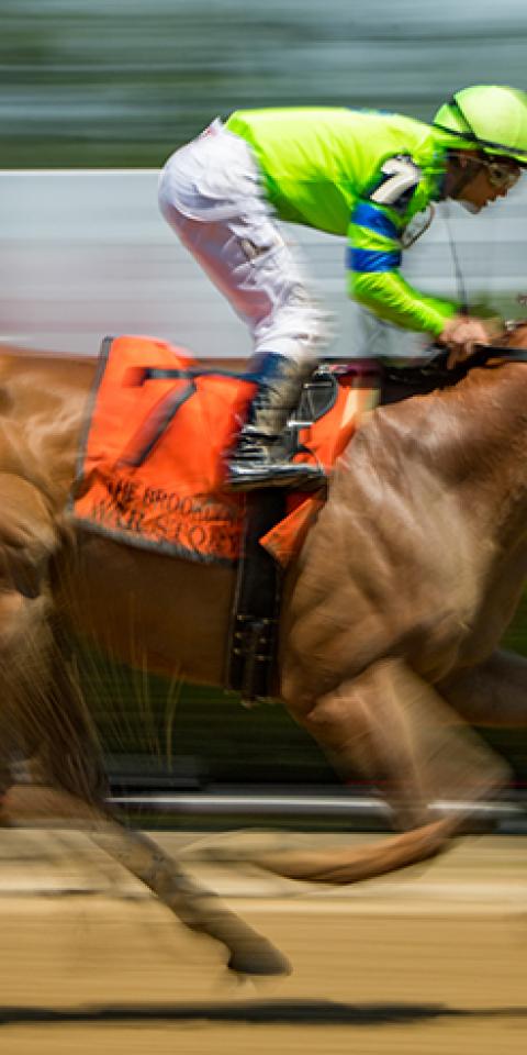Horse Racing Futures Betting