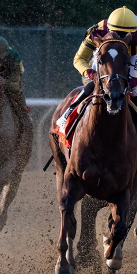 Head to Head Horse Matchup Betting