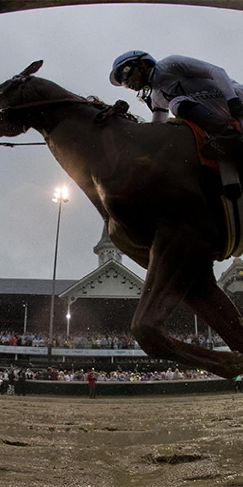 Justify Triple Crown Odds Horse Racing Preakness American Pharoah