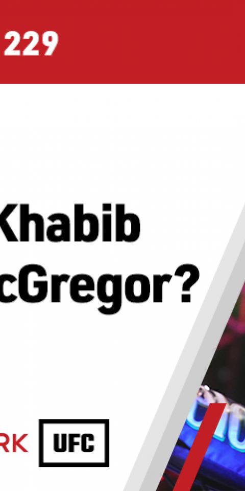 Los motivos para apostar por Khabib frente a McGregor en el UFC 229