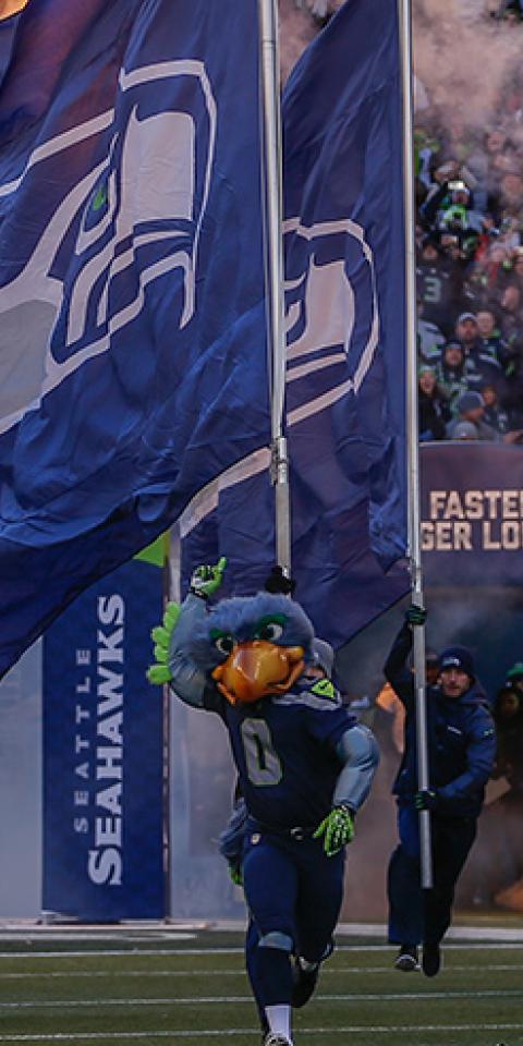 Team mascot Blitz, of the Seattle Seahawks takes the field during the Seahawks' Super Bowl XLVIII Victory Parade ceremonies at CenturyLink Field on February 5, 2014 in Seattle, Washington.