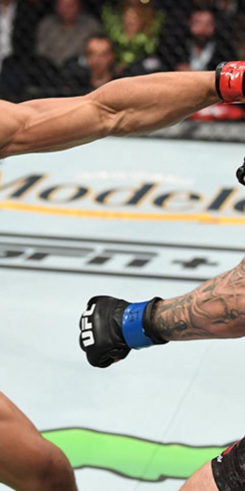 Análisis para apostar en el UFC Fight Night 170: Lee Vs Oliveira