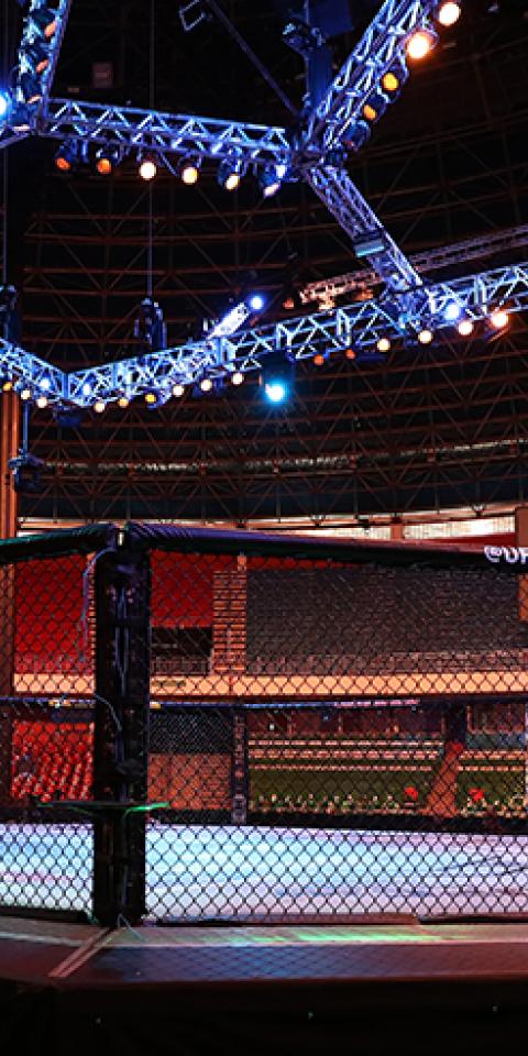 UFC Empty Arena