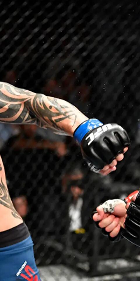 Anthony Smith Strikes Alexander Gustafsson in a UFC fight.