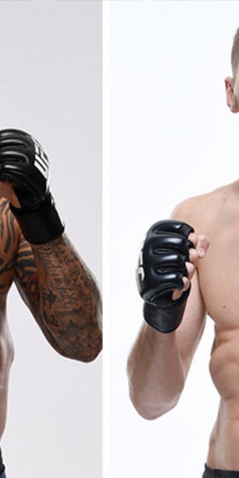 Apuestas UFC Fight Night: Poirier vs Hooker