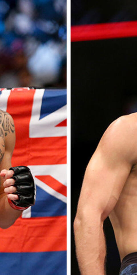 Apuestas UFC Fight Night: Holloway Vs Kattar