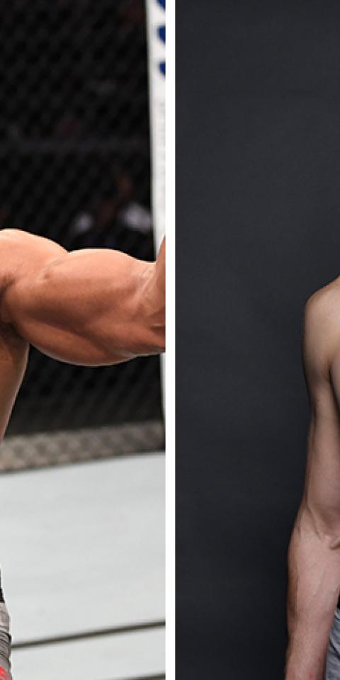 Alexander Volkov (right) is favored over Alistair Overeem (left) in the UFC Fight Night: Overeem vs Volkov odds.