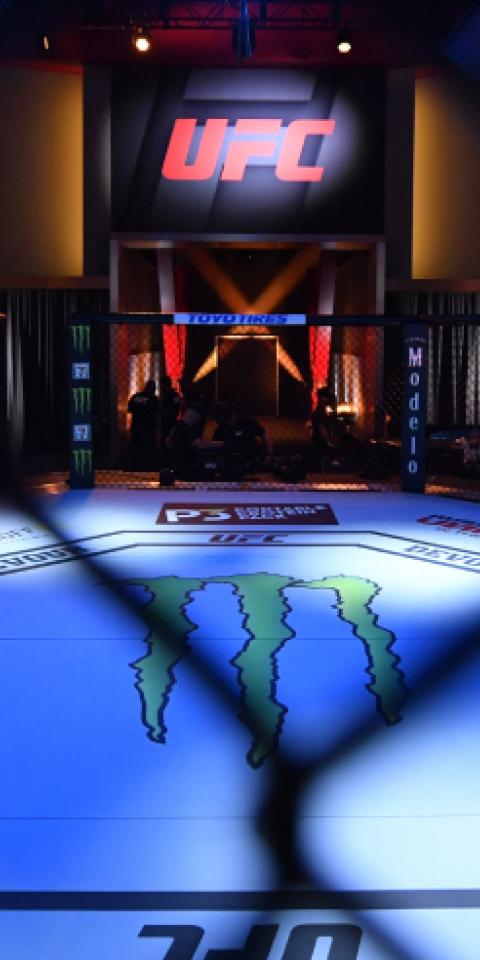 UFC 265 promete grandes apostas!