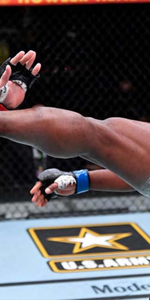 Ngannou x Gane: Odds do UFC 270 - Ngannou é azarão com chance de vitória