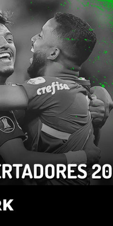 Vídeo Apostas Na Final da Libertadores 2021