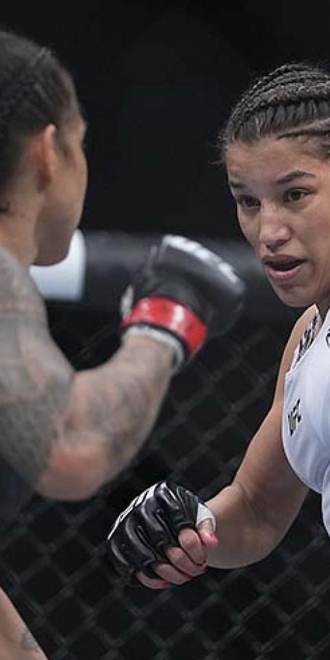 Peña x Nunes: Palpite E Dicas. Amanda Nunes É Favorita Em Revanche No UFC