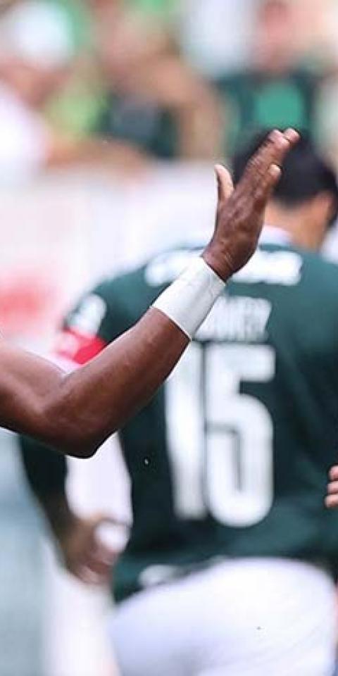 Deportivo Táchira x Palmeiras: Palpite para a Libertadores