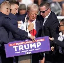 Trump election odds removed