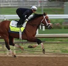Kentucky Derby Picks