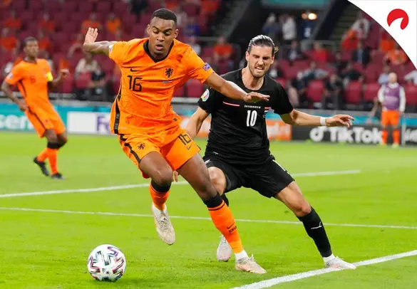 De Beste Bookmakers Tips En Informatie Odds Shark