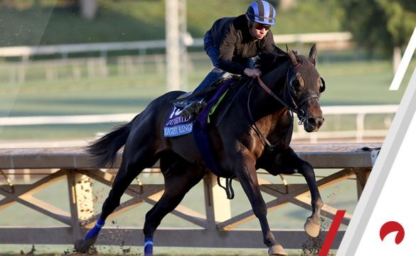 Eight Rings Betting Odds for 2019 Breeders' Cup Juvenile Kentucky Derby favorite