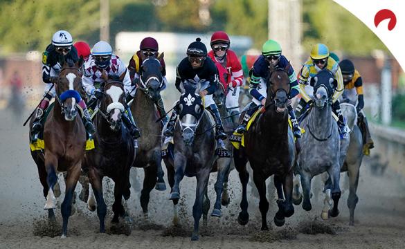 Odds Shark's horse racing expert takes a look at the Belmont Stakes horses and top contenders.
